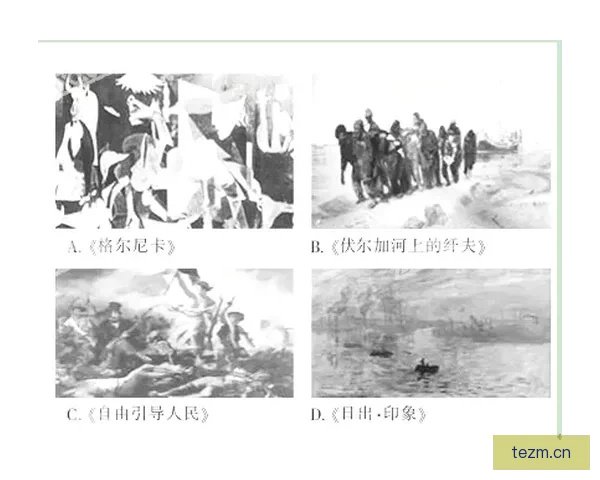 寻觅生命中的“好色先生”：色彩、情感与生活的交响曲